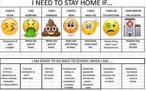 Cold and Flu Season